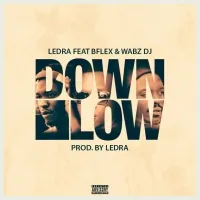 DOWN LOW - B-Flex ft. Ledra & Wabz DJ