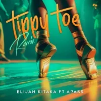 Tippy Toe (remix) - Elijah Kitaka, A Pass