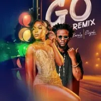 Go (Remix) - Karole Kasita ft Elijah Kitaka