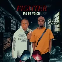 Fighter - Mj De Voice