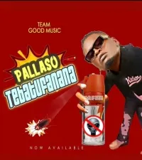 Tebatufanana - Pallaso