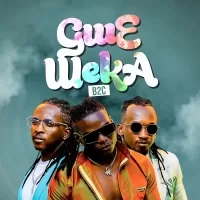 Gwe Weka - B2C Ent