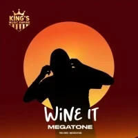 Wine it - Megatone