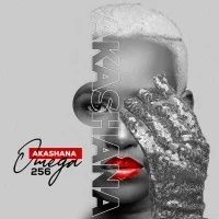 Akashana - Omega 256