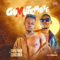 Gumutembye - Dinoma ft Sony Hudz