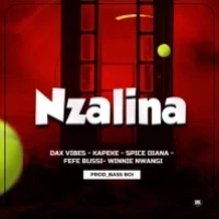Nzalina - Feffe Bussi Ft Winnie Nwagi, Spice Diana, Dax Vibez, Kapeke