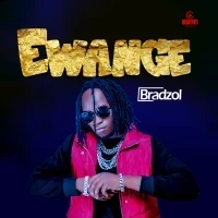 Ewange - Bradzol