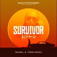 Survivor Remix - Goodlyfe Crew, Tendo Music