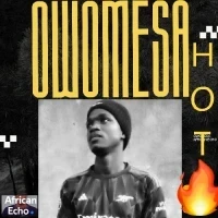 Owomesa - African Echo