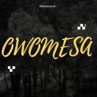Owomesa - African Echo