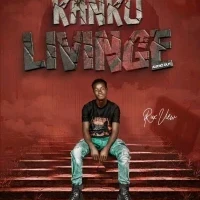 Kankulivinge - Rux view