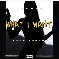 What I want - Kesie
