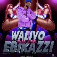 Waliyo Ebikazi - Kid Dee