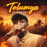Tolumya - Ddembe Pro