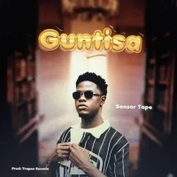 Guntisa - Sensor Tape