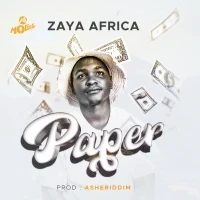 Paper - Zaya Afrika