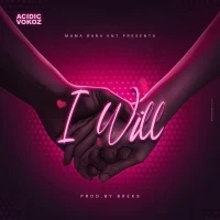 I Will - Acidic Vokoz