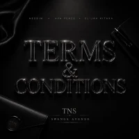 Terms & Conditions - Ava Peace x Elijah Kitaka