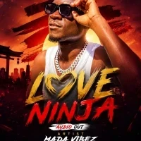 Love Ninja - Mada Vibez