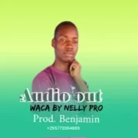 Waca - Nelly Pro