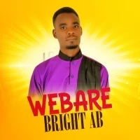Webare - Bright AB