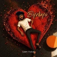 Byebyo - Liam Voice