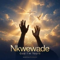 Nkwewade - Sitelite Professor