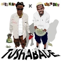 Tushabade - Leghacity Ft Vuduchild