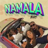 Namala - B2C Ent