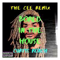 Bored in the house (The CEE Remix) - Curtis Roach