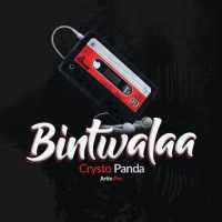 Bintwala - Crysto Panda