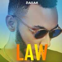Law - Dallah