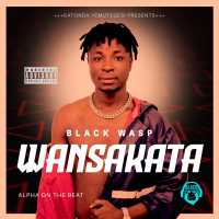 Wansakata - Black Wasp