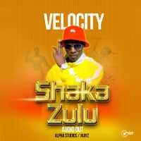 Shaka Zulu - Velocity