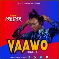 Vaawo - Prosper