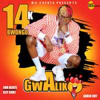 Gwe Aliko - 14k Bwongo