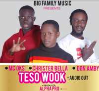 Teso Wook - Don Amby, Mc Oks & Christer Bella