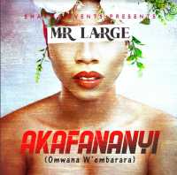 Akafaananyi - Mr Large