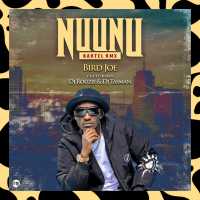 NuuNu (Tasman Remix) - Bird Joe