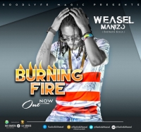 Burning Fire - Weasel