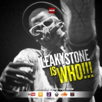 Leaky Stone is Who (Who is Who Reply) - Leaky Stone