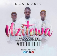 Nzitowaa (EDM) - New Chapter Africa