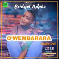Owembarara - Bridget Apple