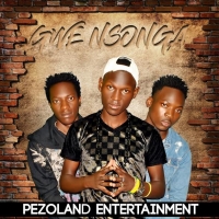 Gwe Nsonga - Pezoland Ent