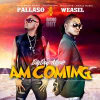 Am Coming (Remix) - Pallaso Ft Weasel