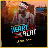 Heart Beat - Bird Joe