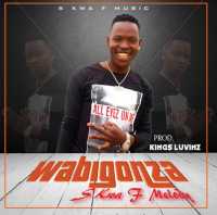 Wabigonza (Acoustic Version) - S kwa F Melody