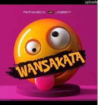 Wansakata - Fik Fameica & Joeboy