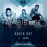 Nabibuse - New Chapter Africa
