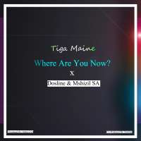 Where Are You Now - Tiga Maine ft. Dosline & Mshizil SA